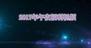 午夜免费视频国产在线,揭秘热门国产影视资源平台